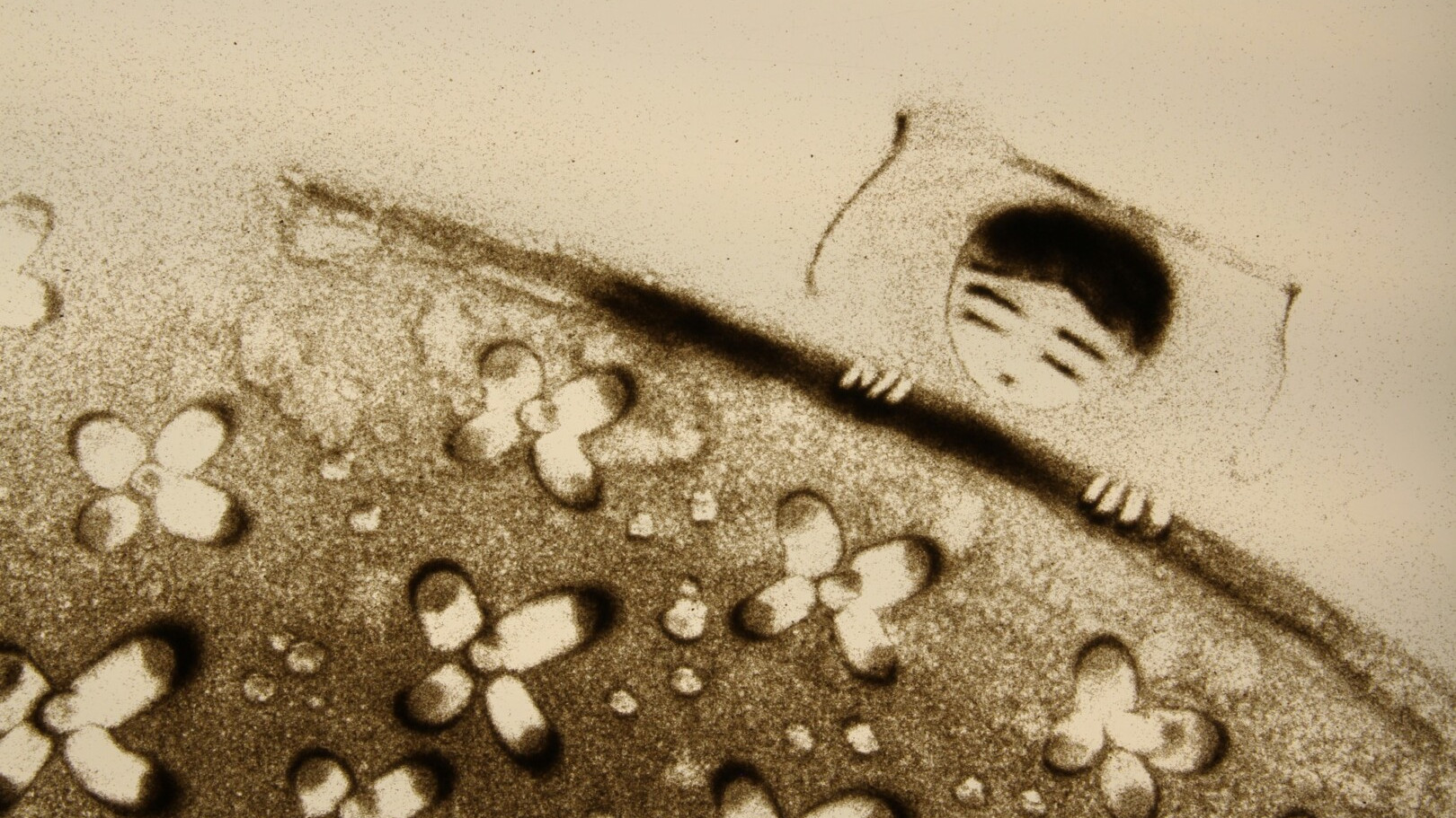 LIFE_001